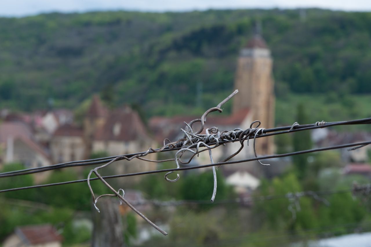 Vignoble Fil de fer 2482